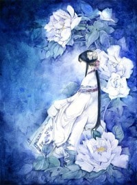 娱乐：综艺明星大追击